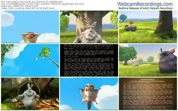 cams-ff_mur-04-15-2024-18-28-38