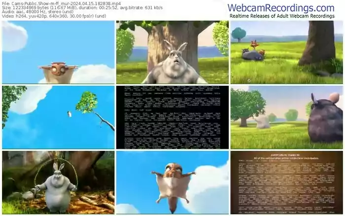 cams-ff_mur-04-15-2024-18-28-38