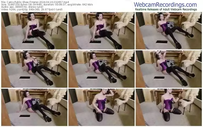 cams-hanei-04-16-2024-03-26-57