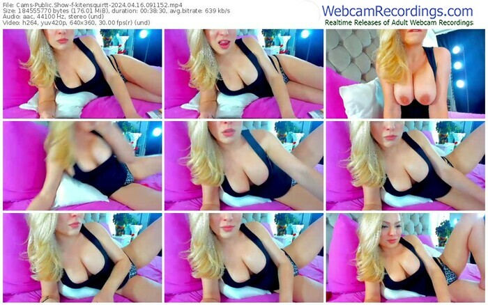 cams-kitensquirtt-04-16-2024-09-11-52