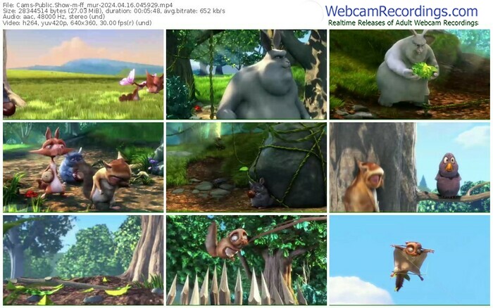 cams-ff_mur-04-16-2024-04-59-29