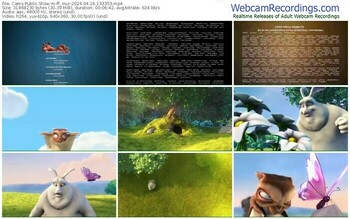 cams-ff_mur-04-16-2024-13-33-53