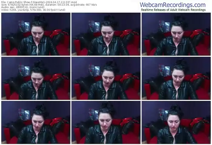 cams-slaveme1-04-17-2024-11-13-37