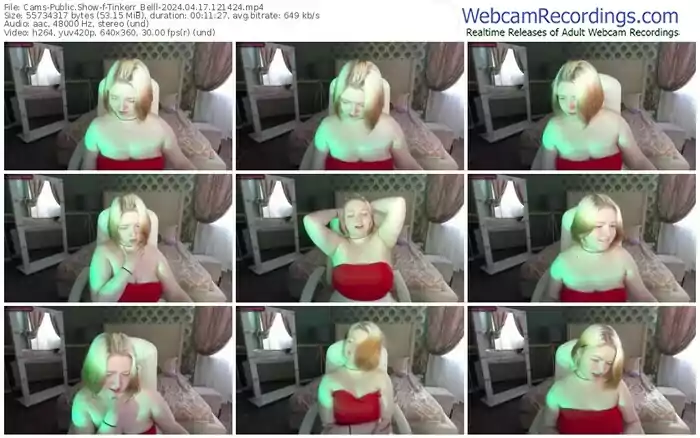 cams-tinkerr_belll-04-17-2024-12-14-24