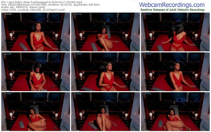 cams-sofimeggan14-04-17-2024-03-19-50