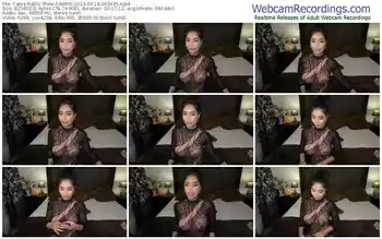 cams-aaris-04-18-2024-06-34-35