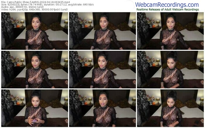 cams-aaris-04-18-2024-06-34-35