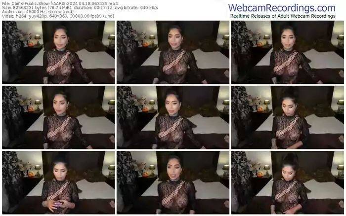 cams-aaris-04-18-2024-06-34-35