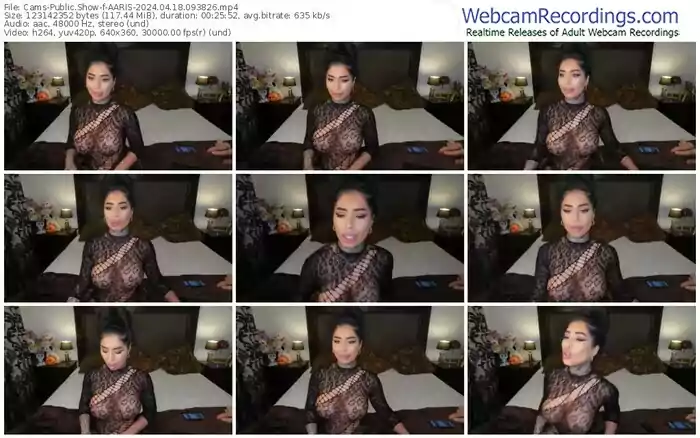 cams-aaris-04-18-2024-09-38-26