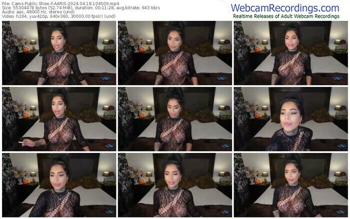 cams-aaris-04-18-2024-10-45-09