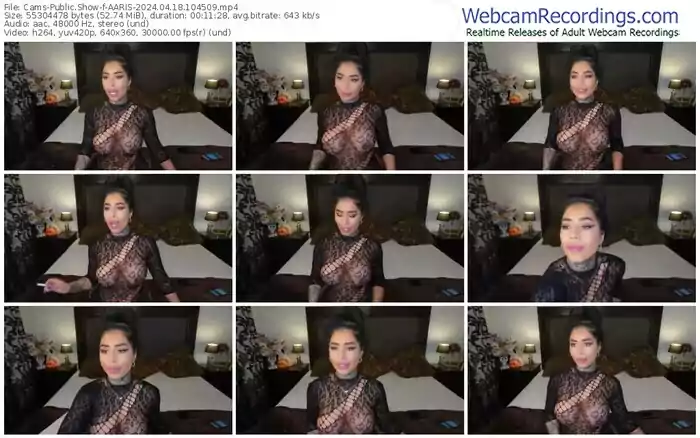 cams-aaris-04-18-2024-10-45-09