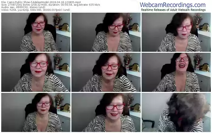 cams-adeleemodel-04-18-2024-12-38-35