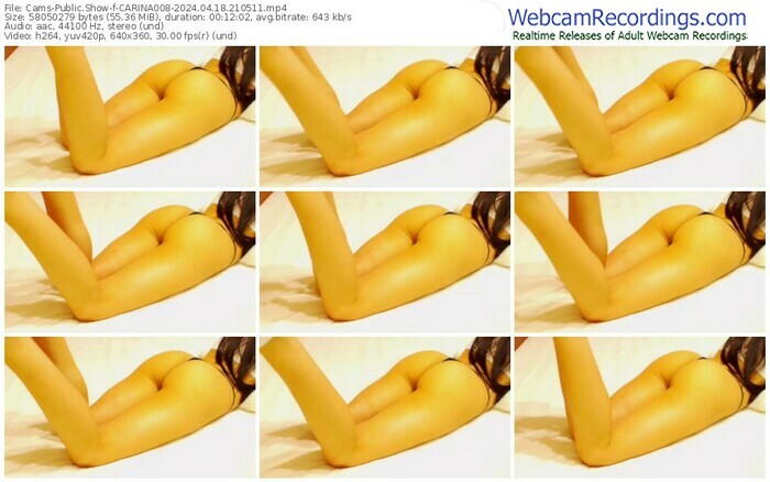cams-carina008-04-18-2024-21-05-11