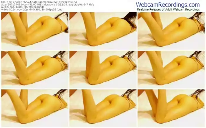 cams-carina008-04-18-2024-22-34-33