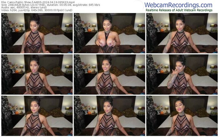 cams-aaris-04-19-2024-09-56-33