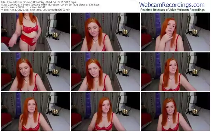 cams-almazsky-04-19-2024-11-00-17