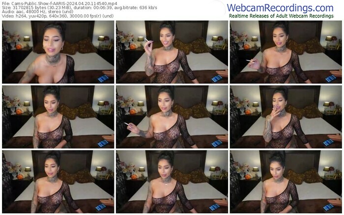 cams-aaris-04-20-2024-11-45-40