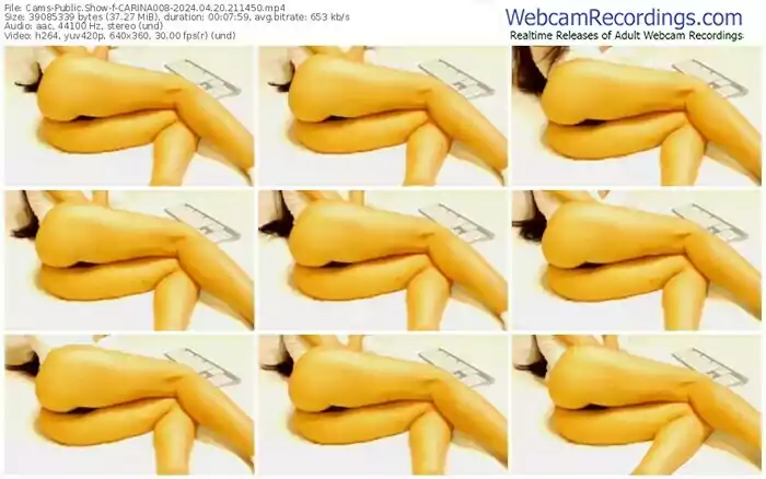 cams-carina008-04-20-2024-21-14-50