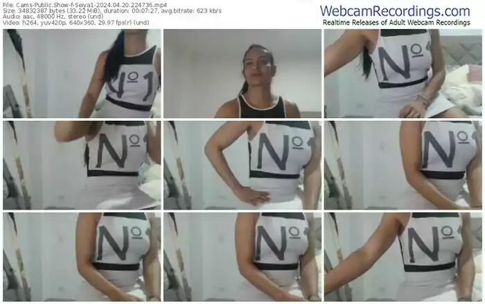 cams-seiya1-04-20-2024-22-47-36