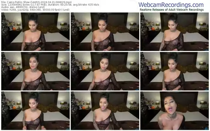 cams-aaris-04-21-2024-08-46-29