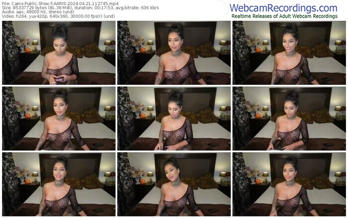 cams-aaris-04-21-2024-11-27-45