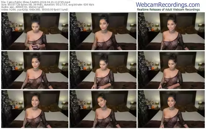 cams-aaris-04-21-2024-11-27-45