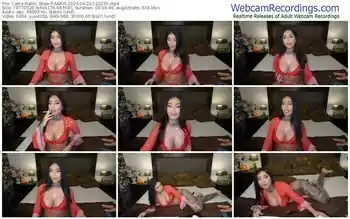 cams-aaris-04-22-2024-10-22-35