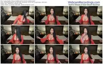 cams-aaris-04-22-2024-12-00-41