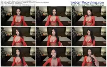 cams-aaris-04-22-2024-12-09-19