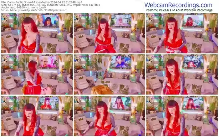 cams-aspenpeeks-04-22-2024-21-22-48