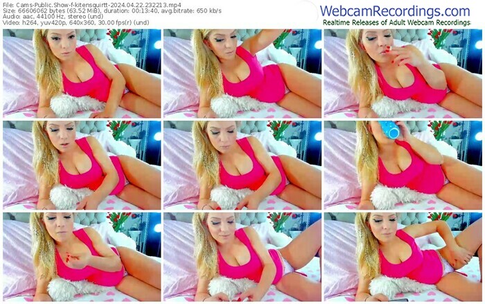 cams-kitensquirtt-04-22-2024-23-22-13