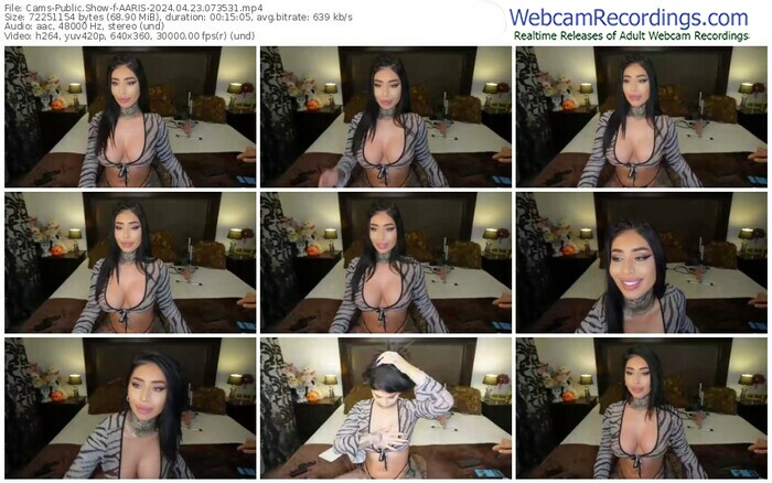 cams-aaris-04-23-2024-07-35-31