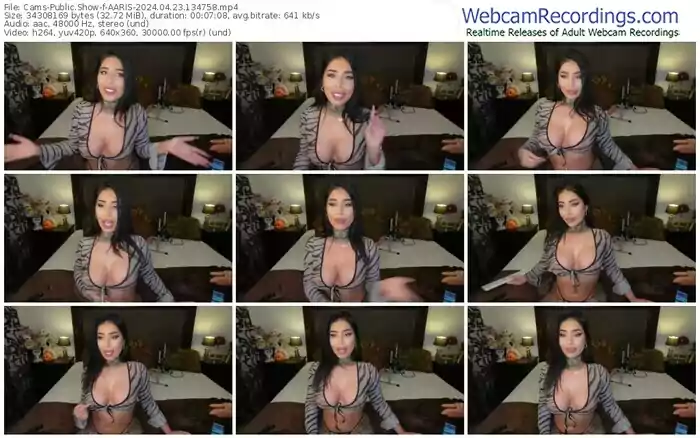 cams-aaris-04-23-2024-13-47-58