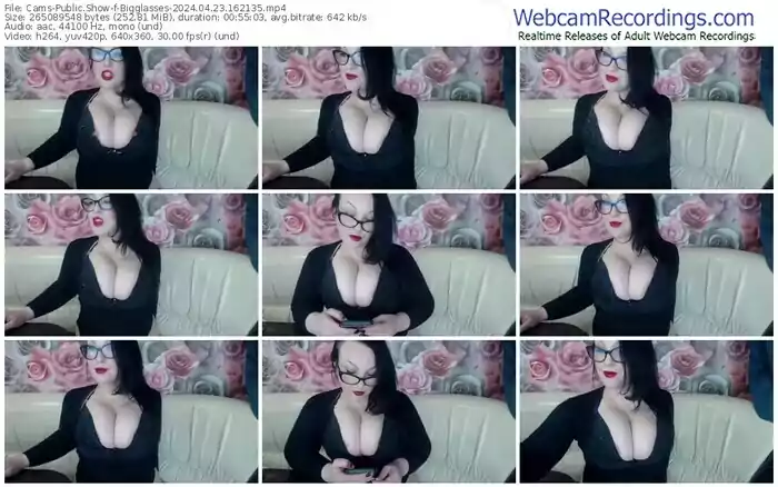 cams-bigglasses-04-23-2024-16-21-35