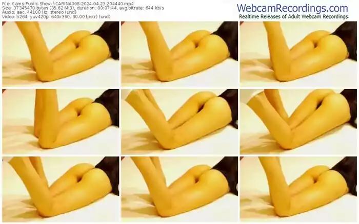 cams-carina008-04-23-2024-20-44-40