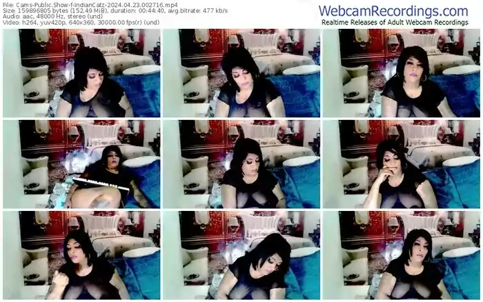 cams-indiancatz-04-23-2024-00-27-16