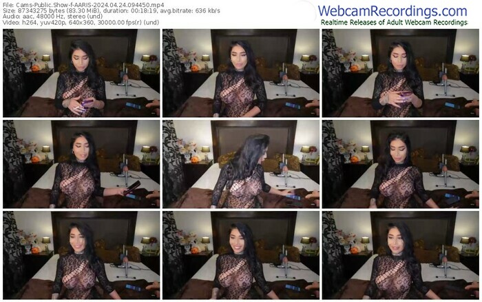 cams-aaris-04-24-2024-09-44-50