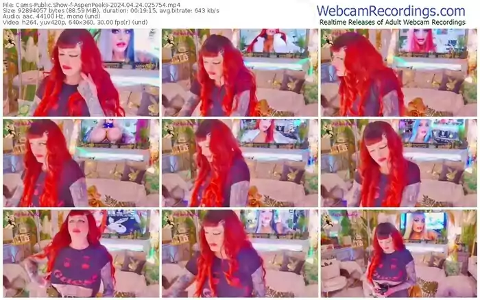 cams-aspenpeeks-04-24-2024-02-57-54