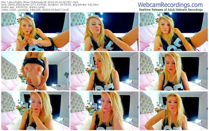 cams-kitensquirtt-04-24-2024-02-19-57