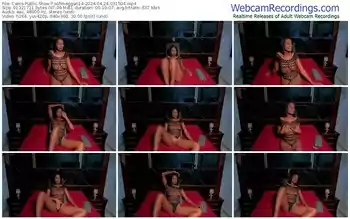 cams-sofimeggan14-04-24-2024-03-15-04