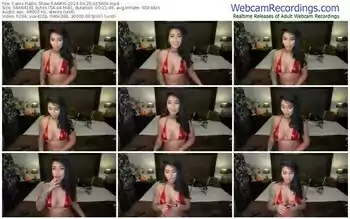 cams-aaris-04-25-2024-06-59-06