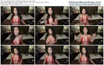 cams-aaris-04-25-2024-11-01-19