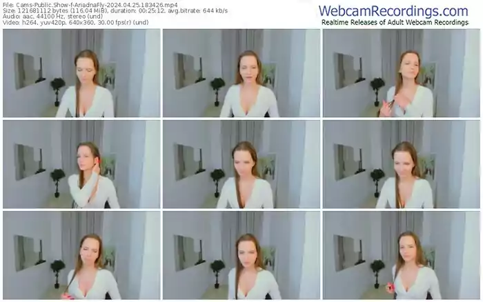 cams-ariadnafly-04-25-2024-18-34-26