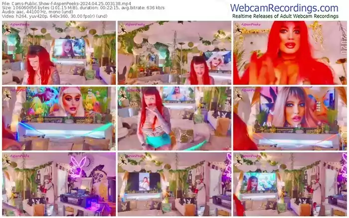 cams-aspenpeeks-04-25-2024-00-31-38