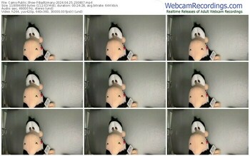 cams-badtzmaru-04-25-2024-23-08-07