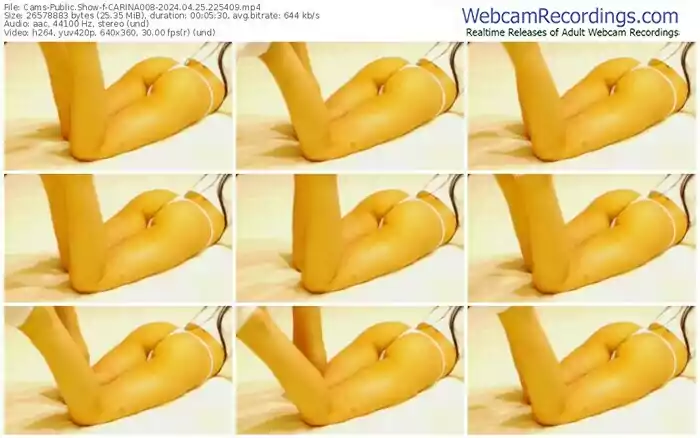 cams-carina008-04-25-2024-22-54-09