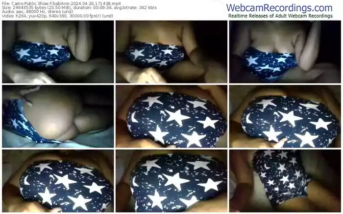 cams-babikim-04-26-2024-17-14-38