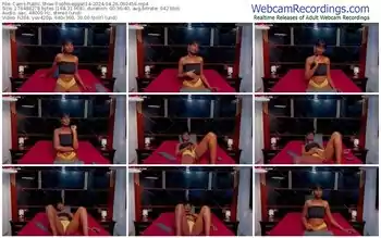 cams-sofimeggan14-04-26-2024-06-04-56