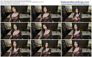 cams-aaris-04-27-2024-09-25-25