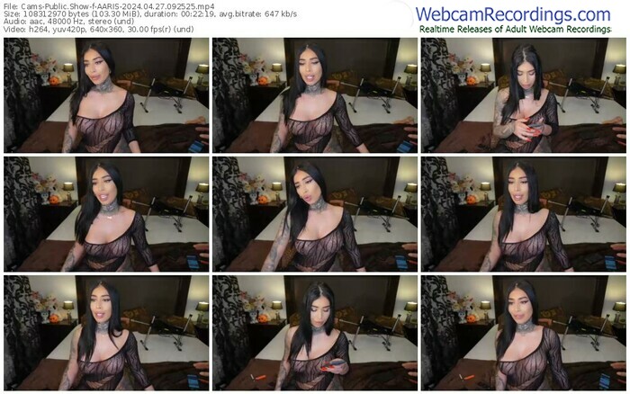 cams-aaris-04-27-2024-09-25-25